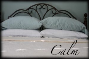 Cabin 1 – Water's Edge main bed image